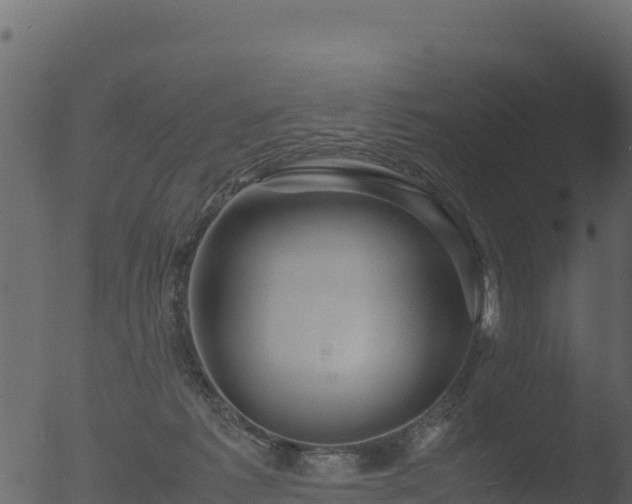 X0000053090221200507181727