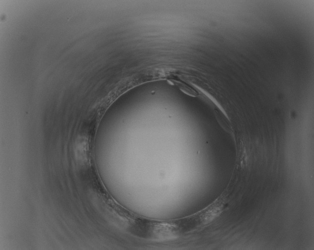 X0000053090222200507181727