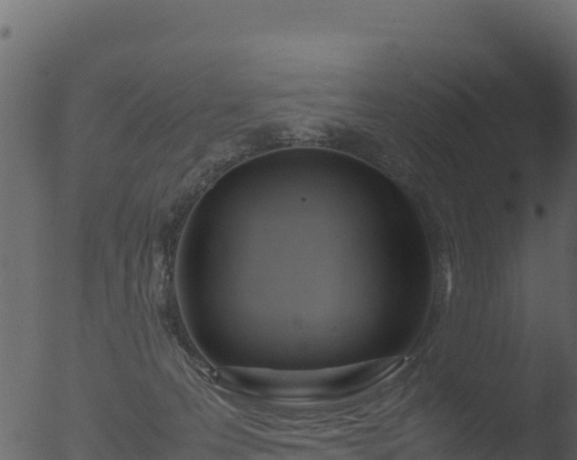 X0000053090223200507181727