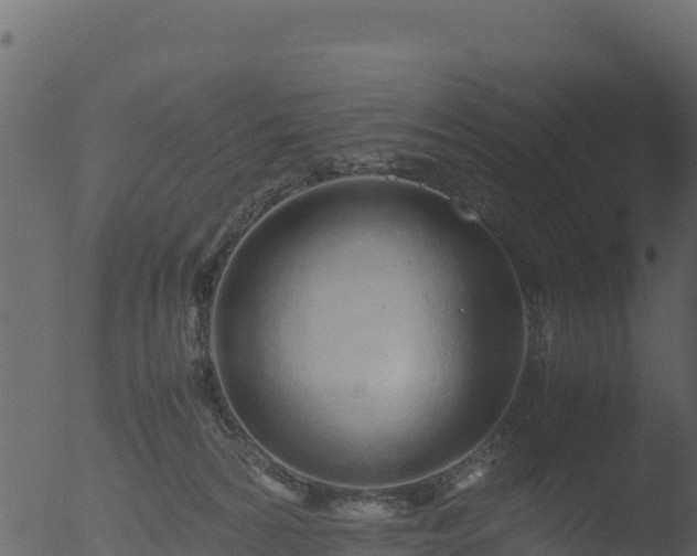 X0000053090224200507181727