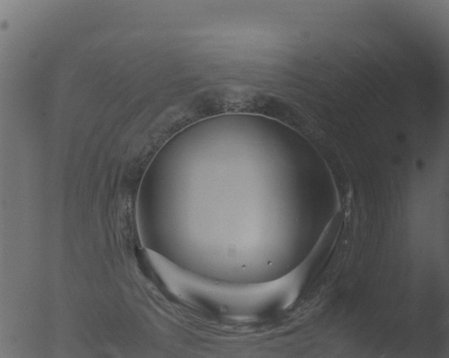 X0000053090225200507181727