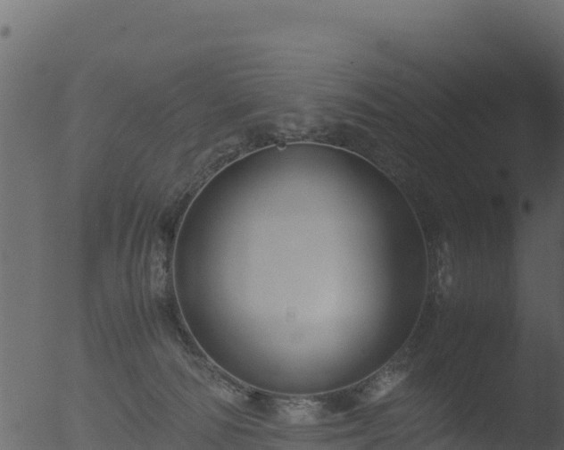 X0000053090226200507181727