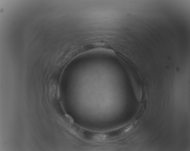 X0000053090227200507181727