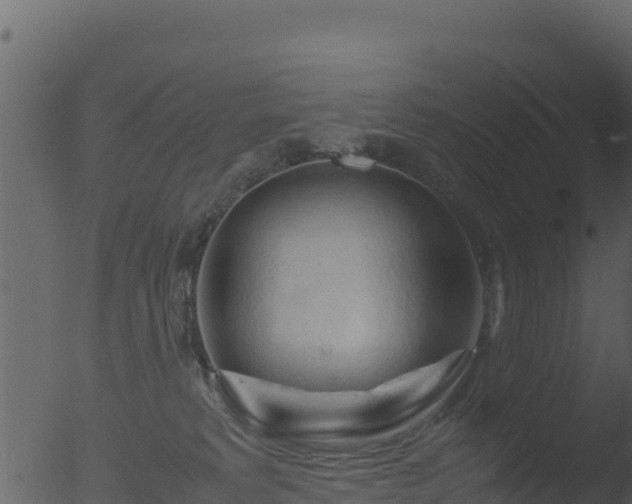 X0000053090229200507181727