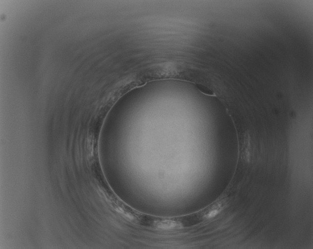 X0000053090230200507181727