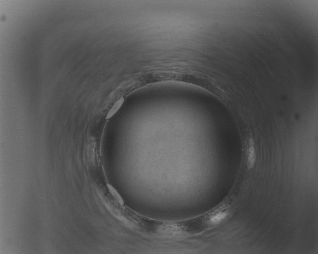 X0000053090231200507181727