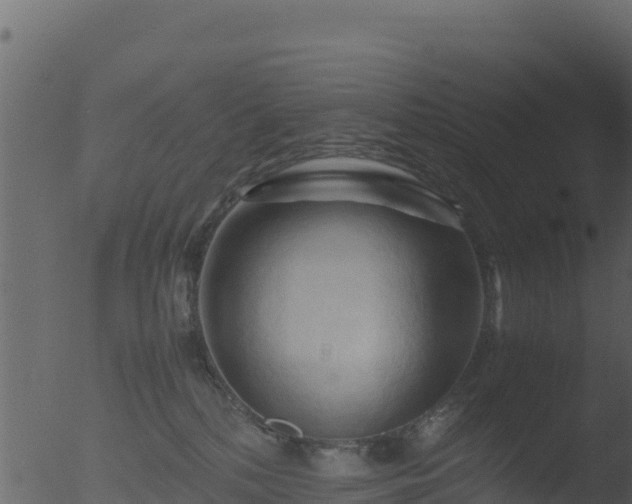 X0000053090232200507181727