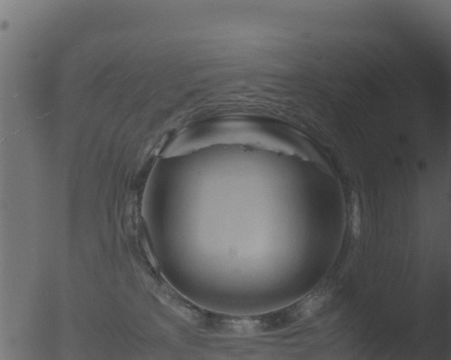 X0000053090233200507181727