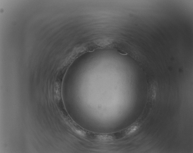 X0000053090234200507181727