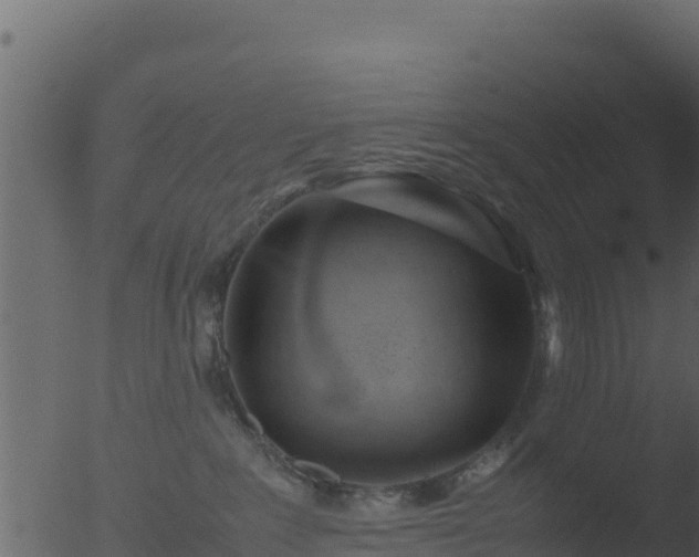 X0000053090235200507181727