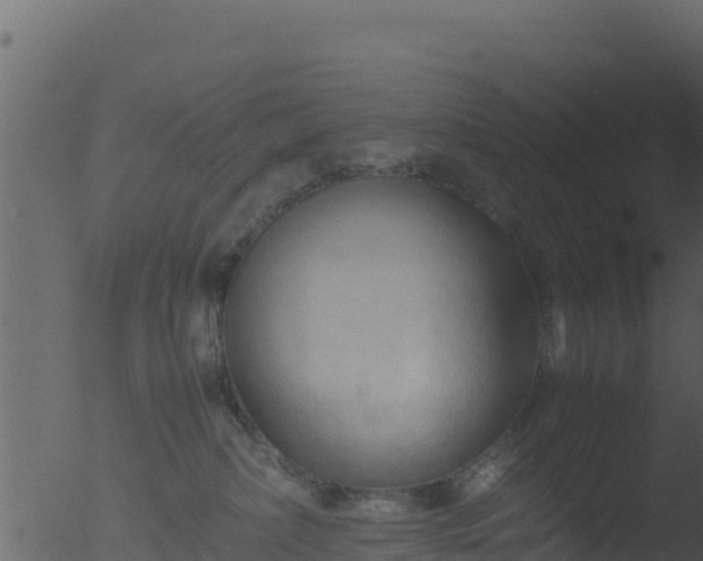 X0000053090236200507181727