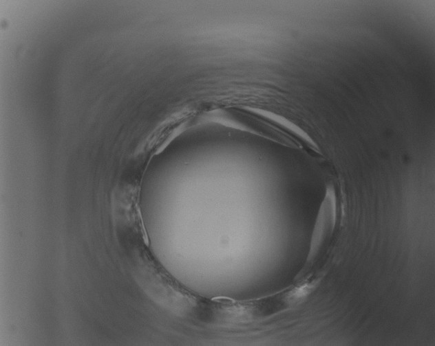 X0000053090237200507181727