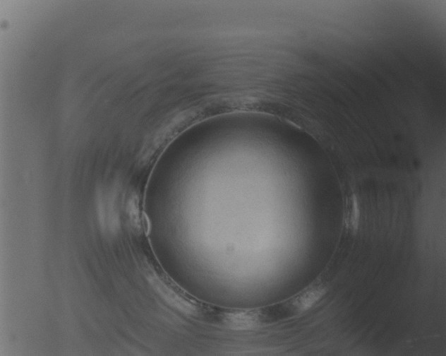 X0000053090238200507181727