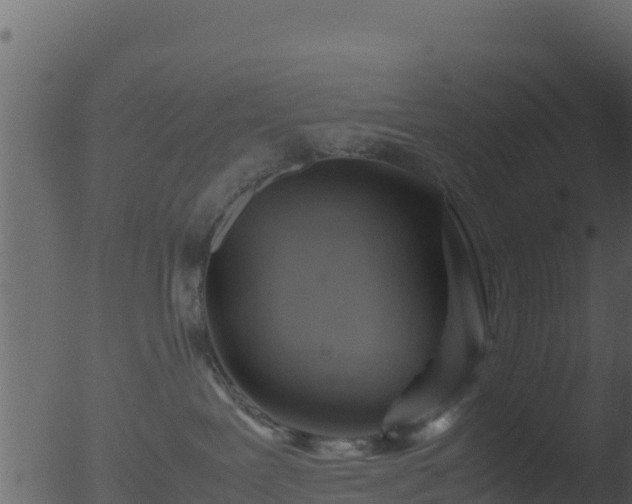 X0000053090239200507181727