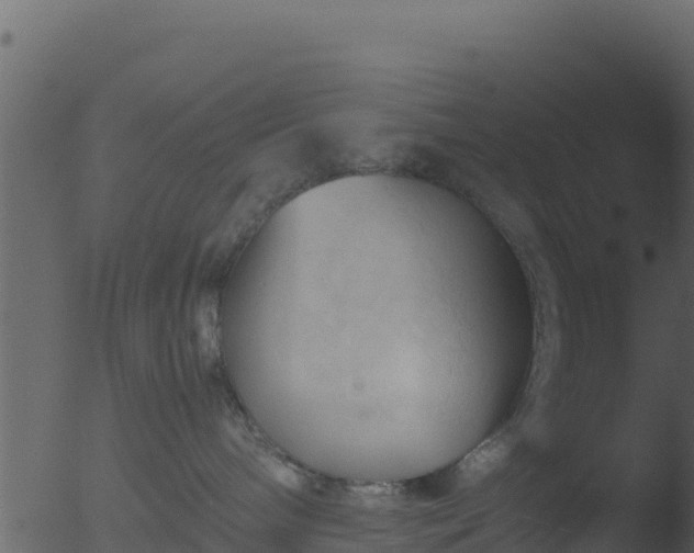 X0000053090240200507181727