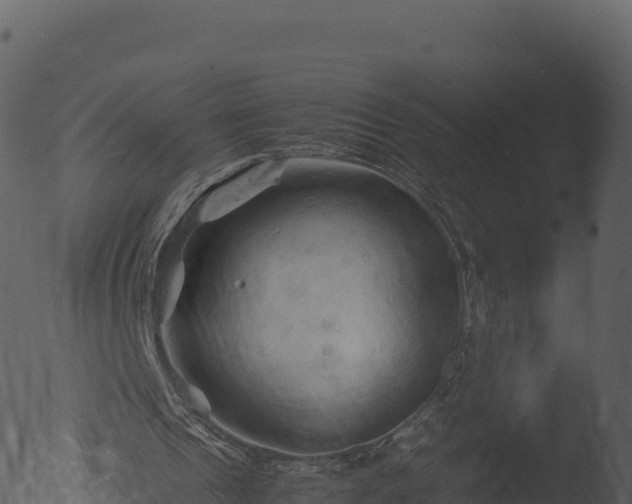 X0000053090241200507181726