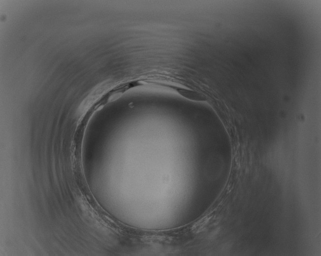 X0000053090242200507181726