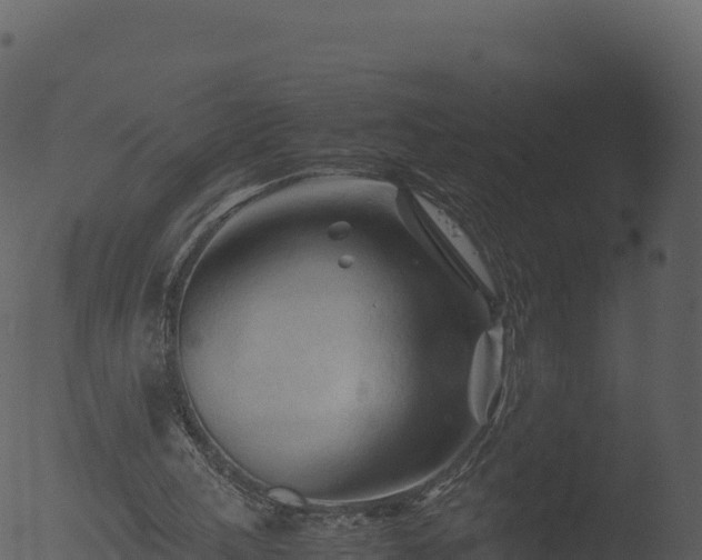 X0000053090243200507181726