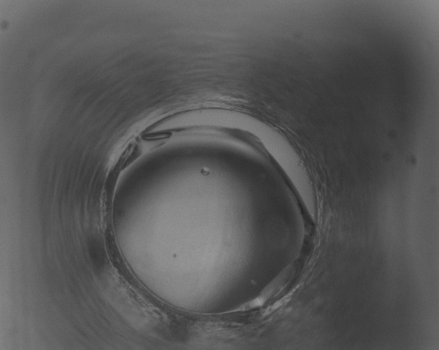 X0000053090244200507181726