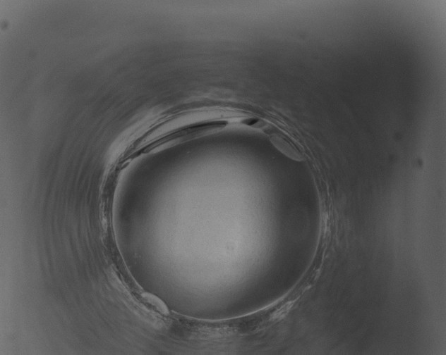 X0000053090245200507181726