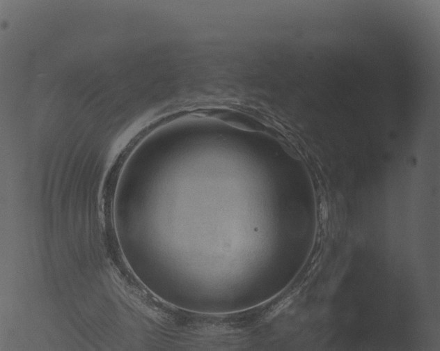 X0000053090246200507181726