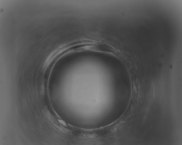 X0000053090247200507181726