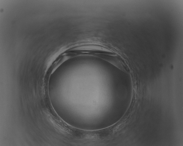 X0000053090248200507181726