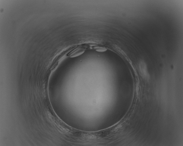 X0000053090249200507181726