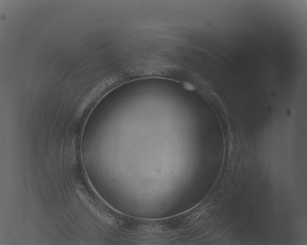 X0000053090250200507181726