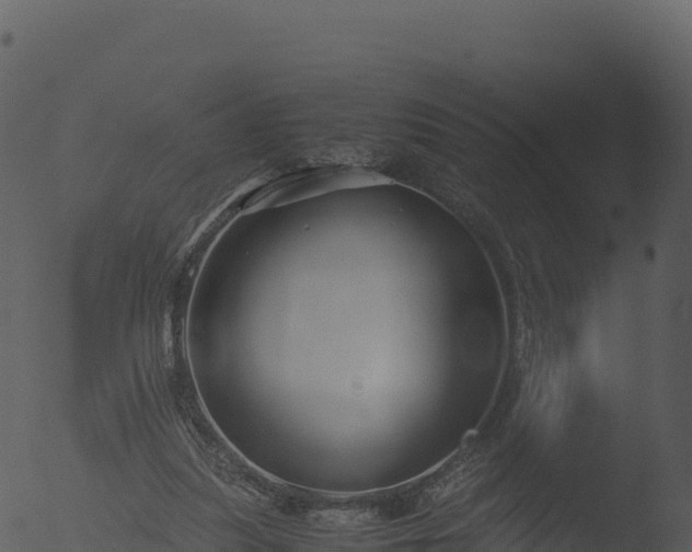 X0000053090251200507181726