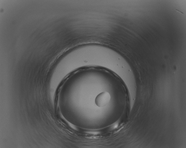 X0000053090252200507181726