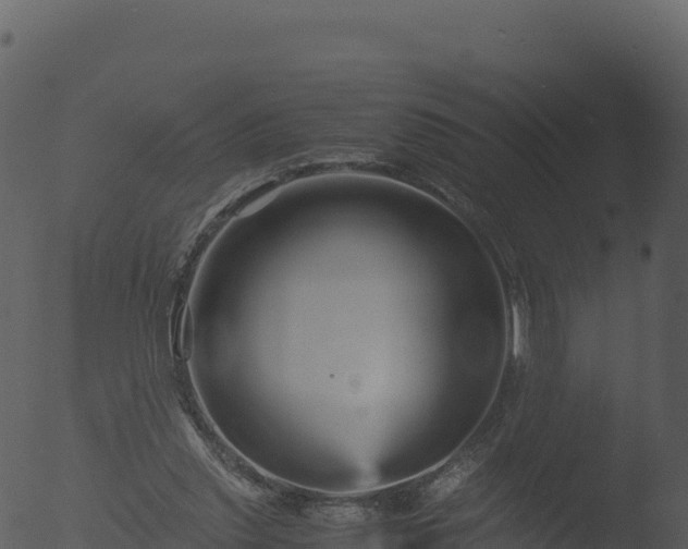 X0000053090253200507181726