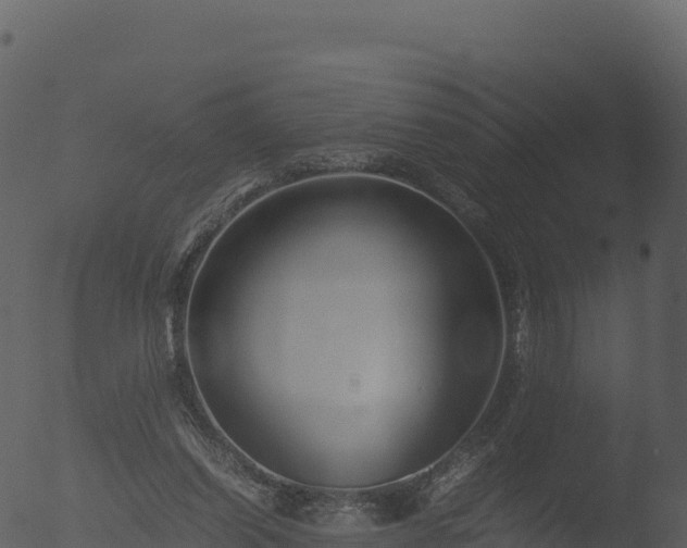 X0000053090254200507181726