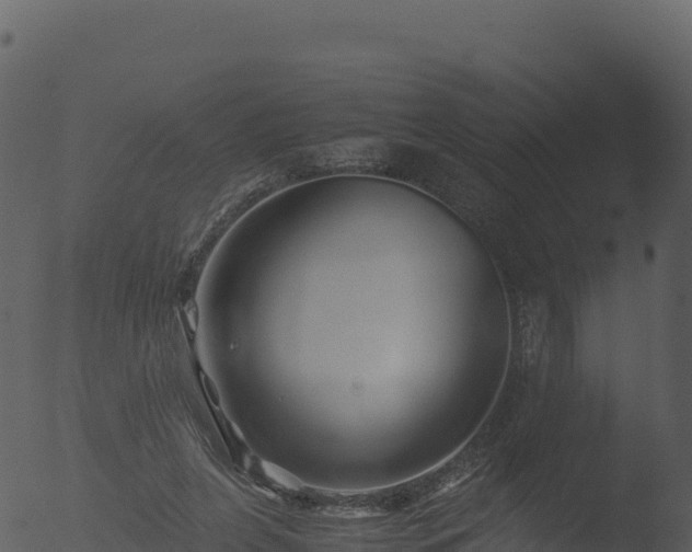 X0000053090255200507181726