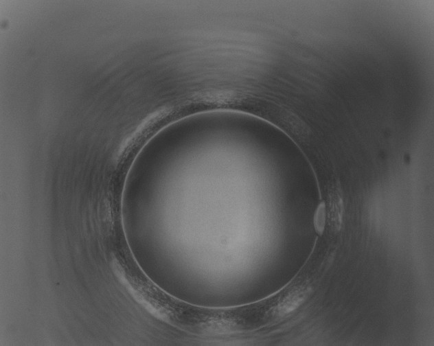 X0000053090256200507181726