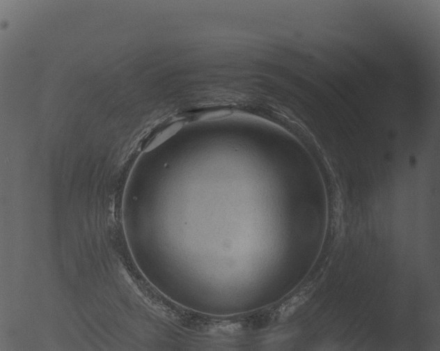 X0000053090257200507181726