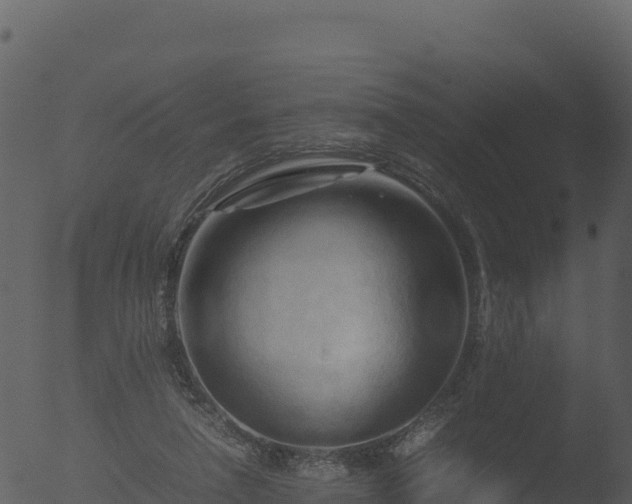 X0000053090258200507181726