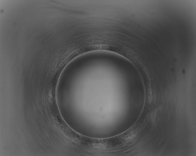 X0000053090259200507181726