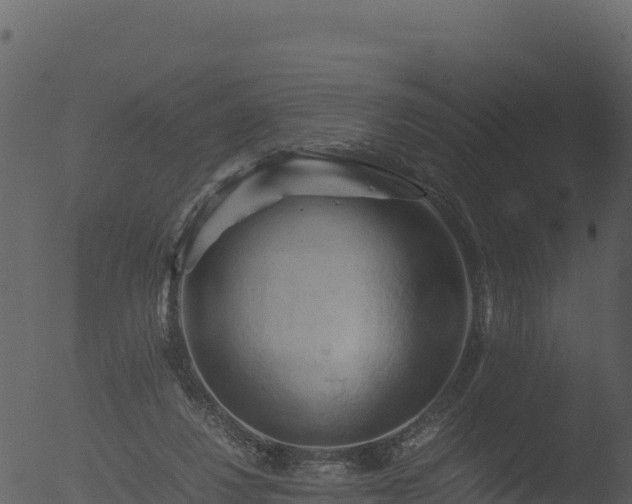 X0000053090260200507181726