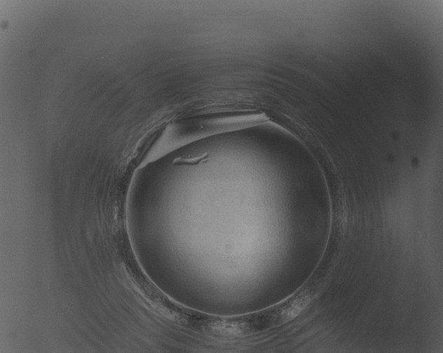 X0000053090261200507181726