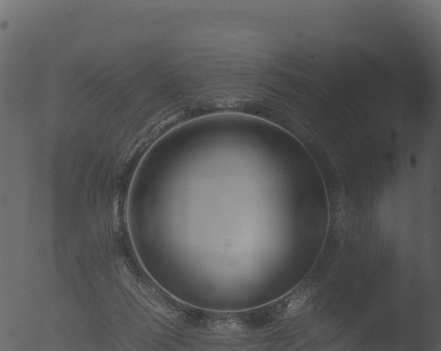 X0000053090262200507181726