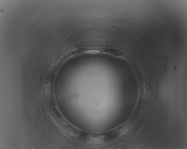 X0000053090263200507181726