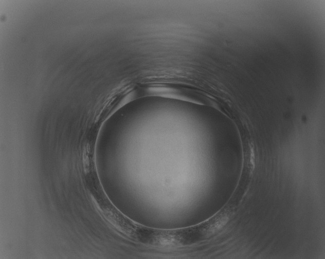 X0000053090264200507181726