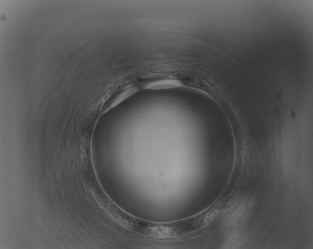 X0000053090265200507181726