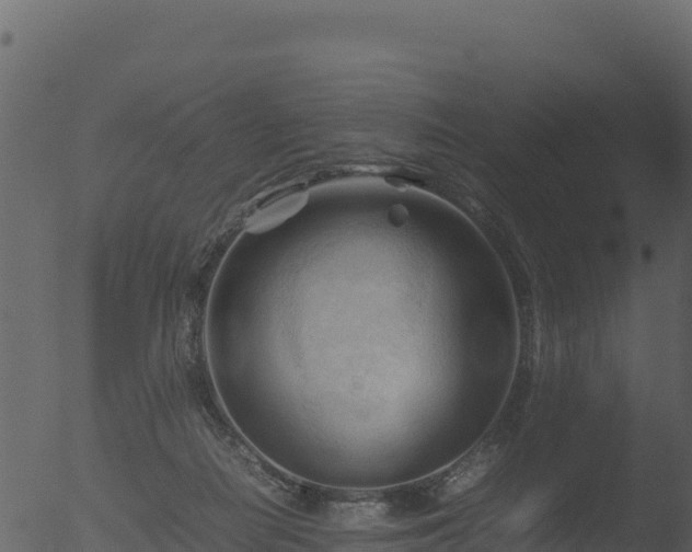 X0000053090266200507181726