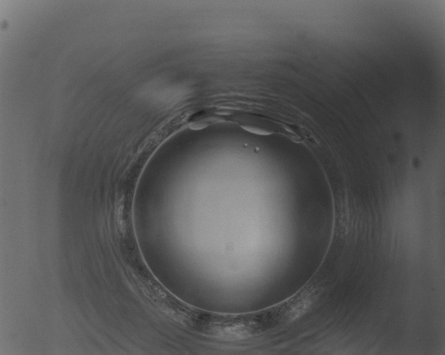 X0000053090267200507181726