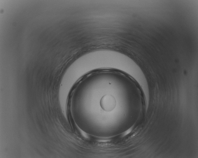 X0000053090268200507181726