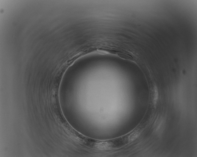 X0000053090269200507181726