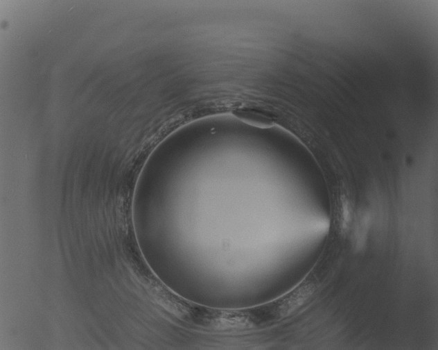 X0000053090270200507181726