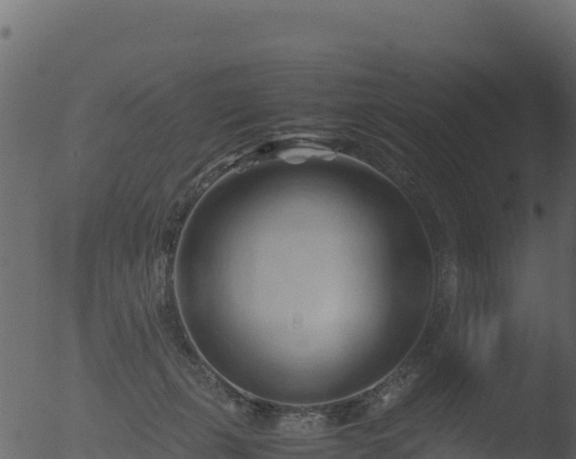 X0000053090271200507181726